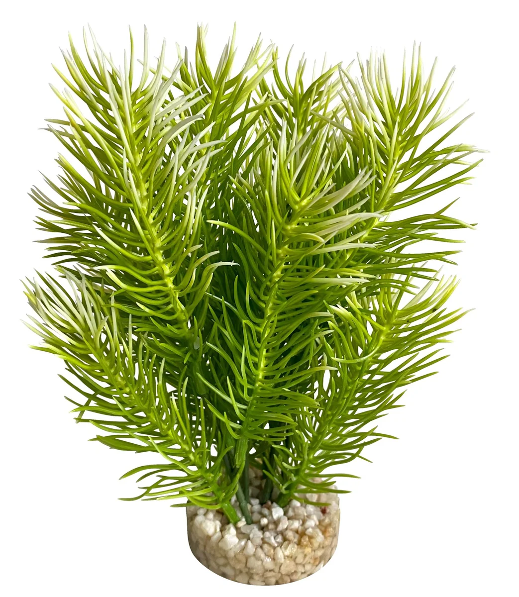 Sydeco Planta Japanese Tree 18 cm 380441