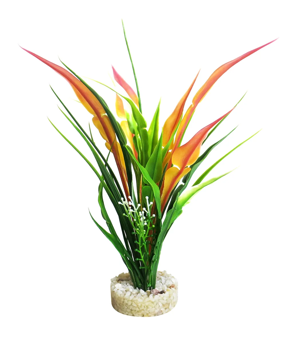 Sydeco Planta Anubias Pearl 22 cm 380434