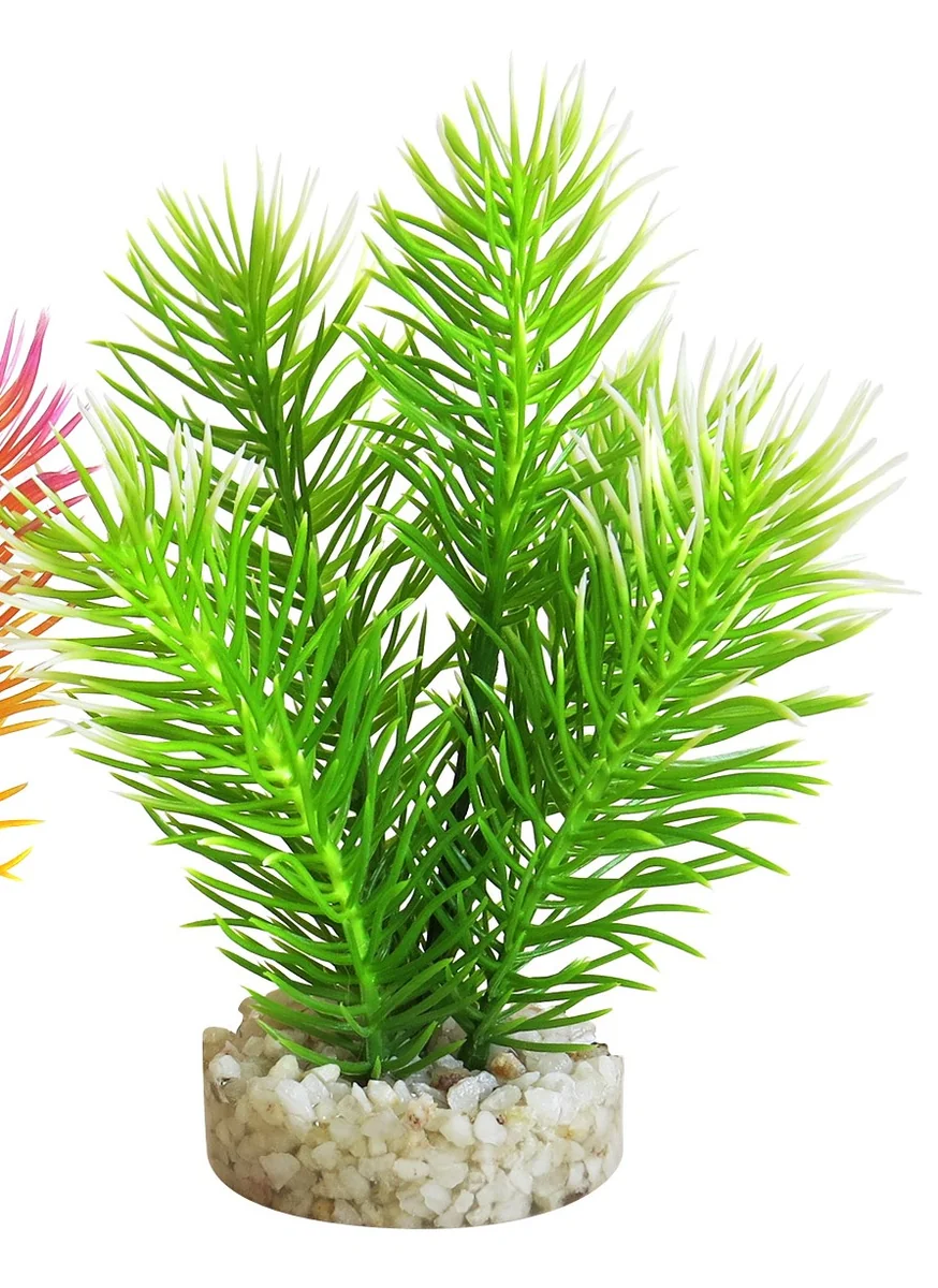 Sydeco Planta Cabomba Pearl 14 cm 380432