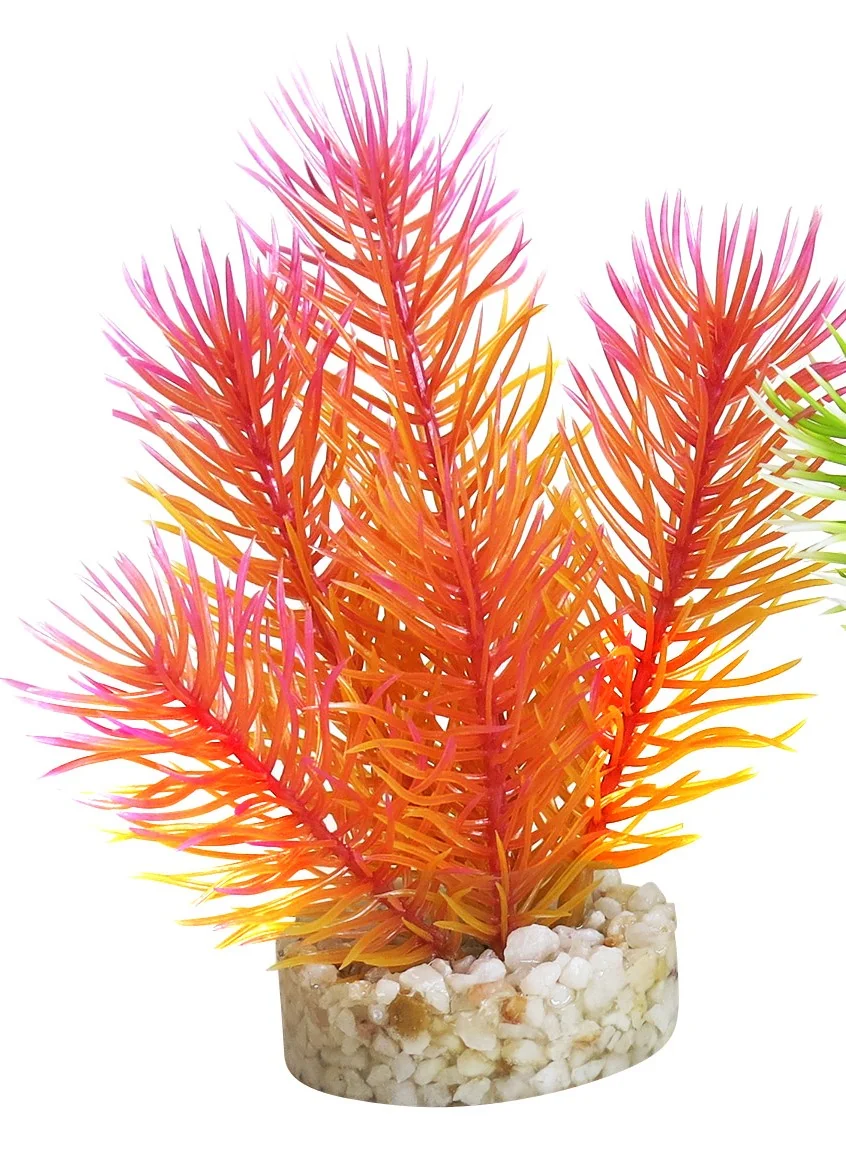 Sydeco Planta Cabomba Pearl 14 cm 380432