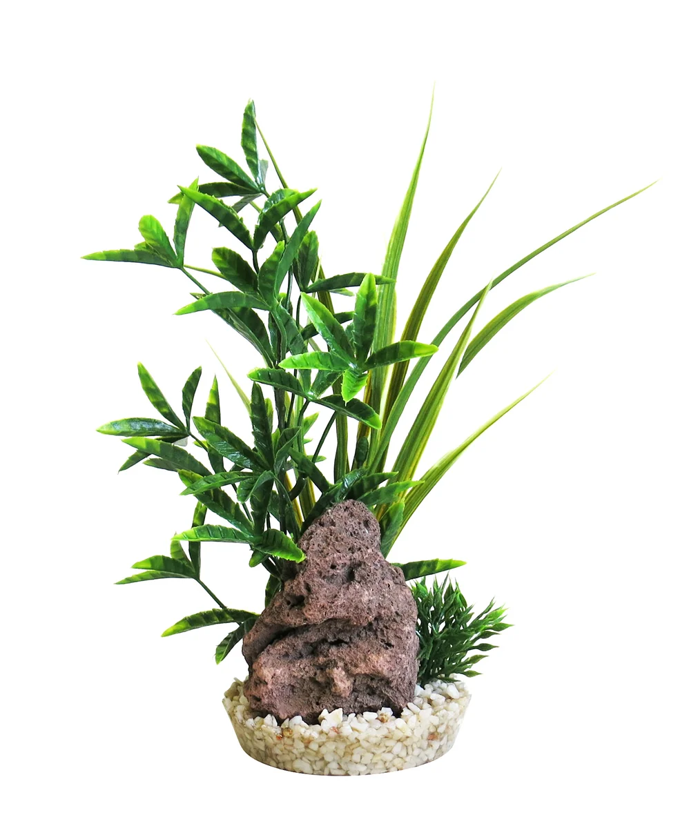 Sydeco Planta Bacopa Reef 24 cm 380385