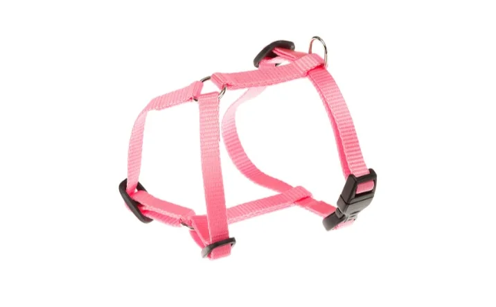 Ferplast Ham Silon Champion Roz