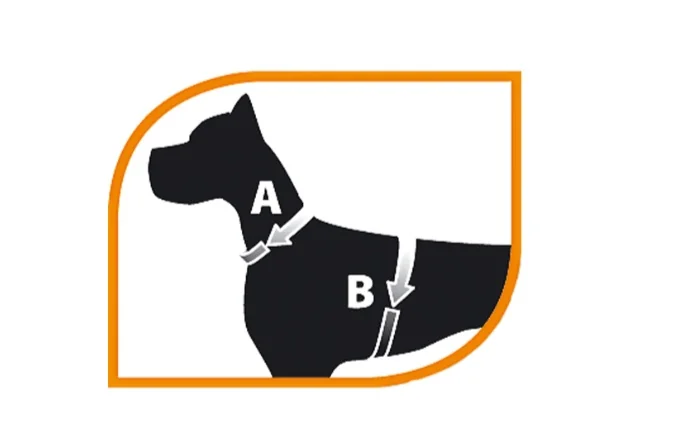 Ferplast Ham Silon Champion XXL