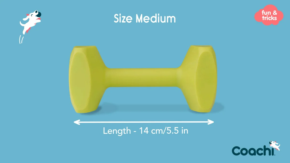 Coa Jucarie Dresaj Coachi Dumbell Medium 41411A