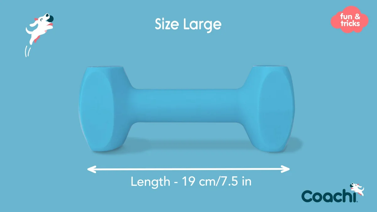 Coa Jucarie Dresaj Coachi Dumbell Large 41412A