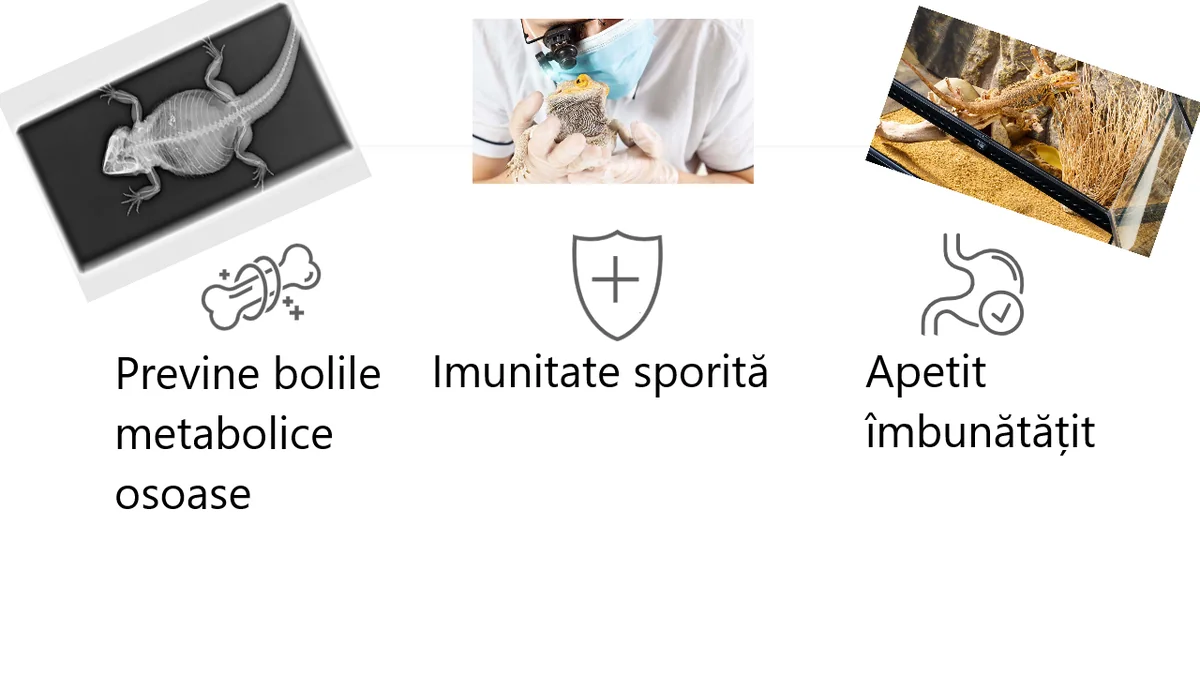 Exo Terra Neon Repti Glo UVB100 18W PT2386