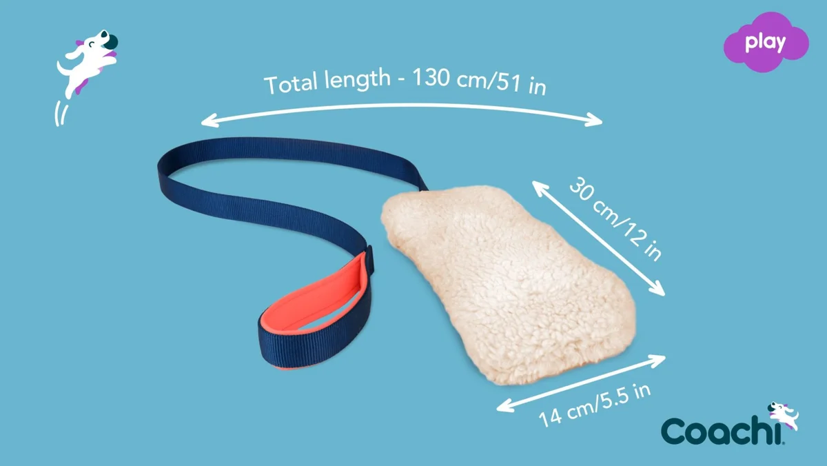 Coa Jucarie Dresaj Coachi Chase & Crinkle 41610A