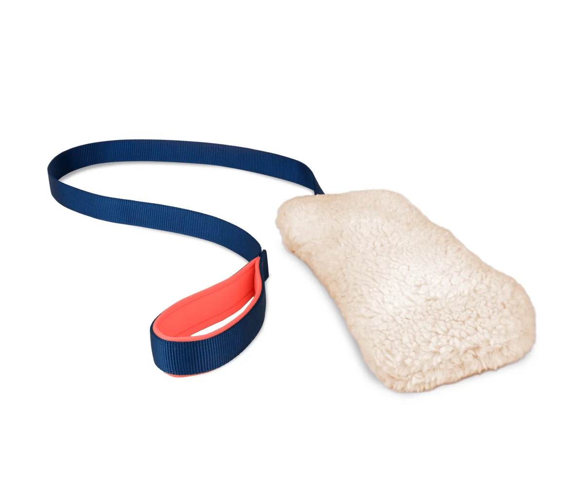 Coa Jucarie Dresaj Coachi Chase & Crinkle 41610A