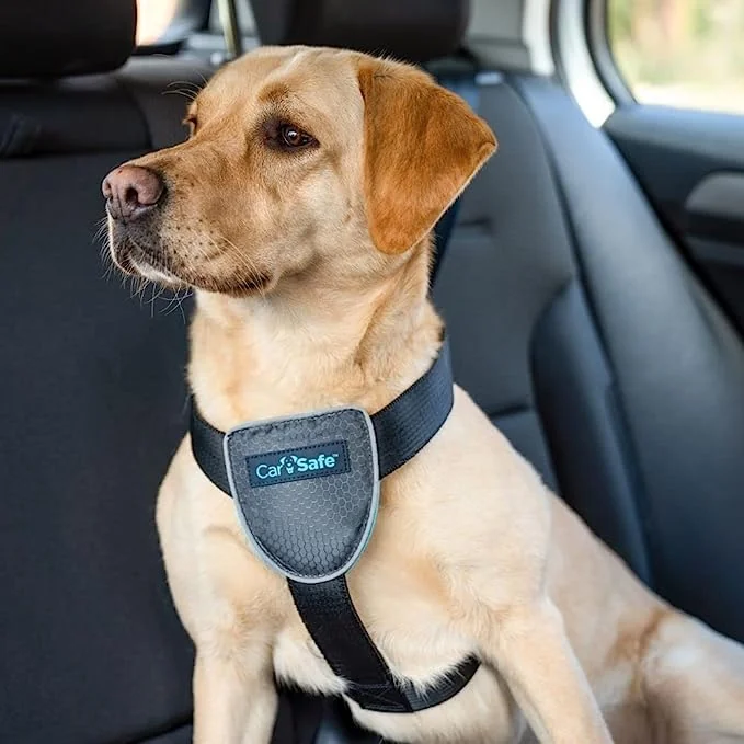 Coa Ham Caine Carsafe Travel Black L