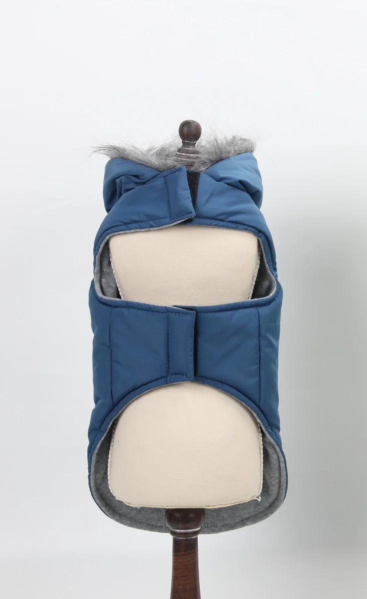 Pet Expert Haina Caine Blue BO-Z22011