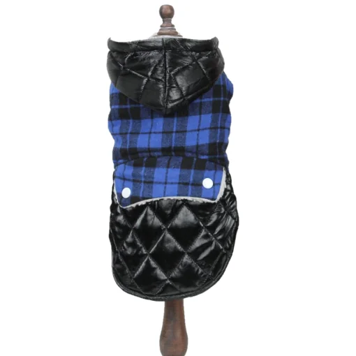 Pet Expert Haina Caine Black/Blue BO-Z23039