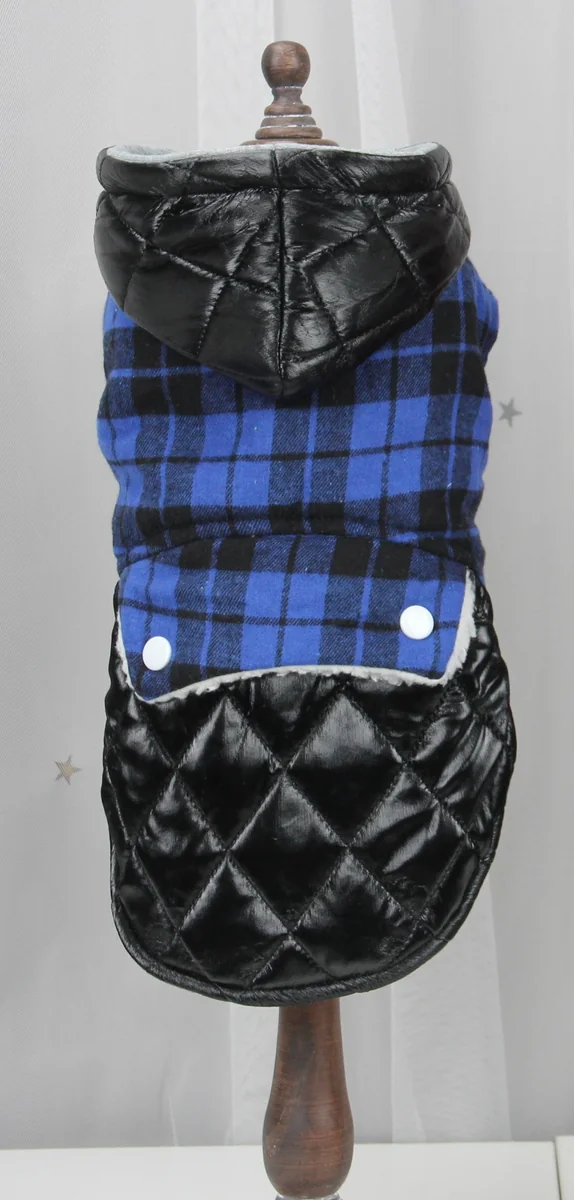 Pet Expert Haina Caine Black/Blue BO-Z23039