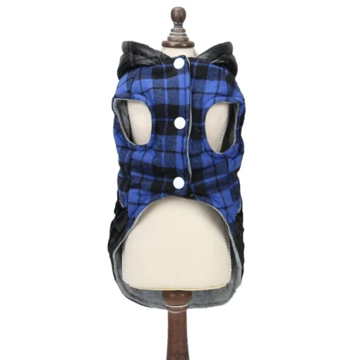 Pet Expert Haina Caine Black/Blue BO-Z23039