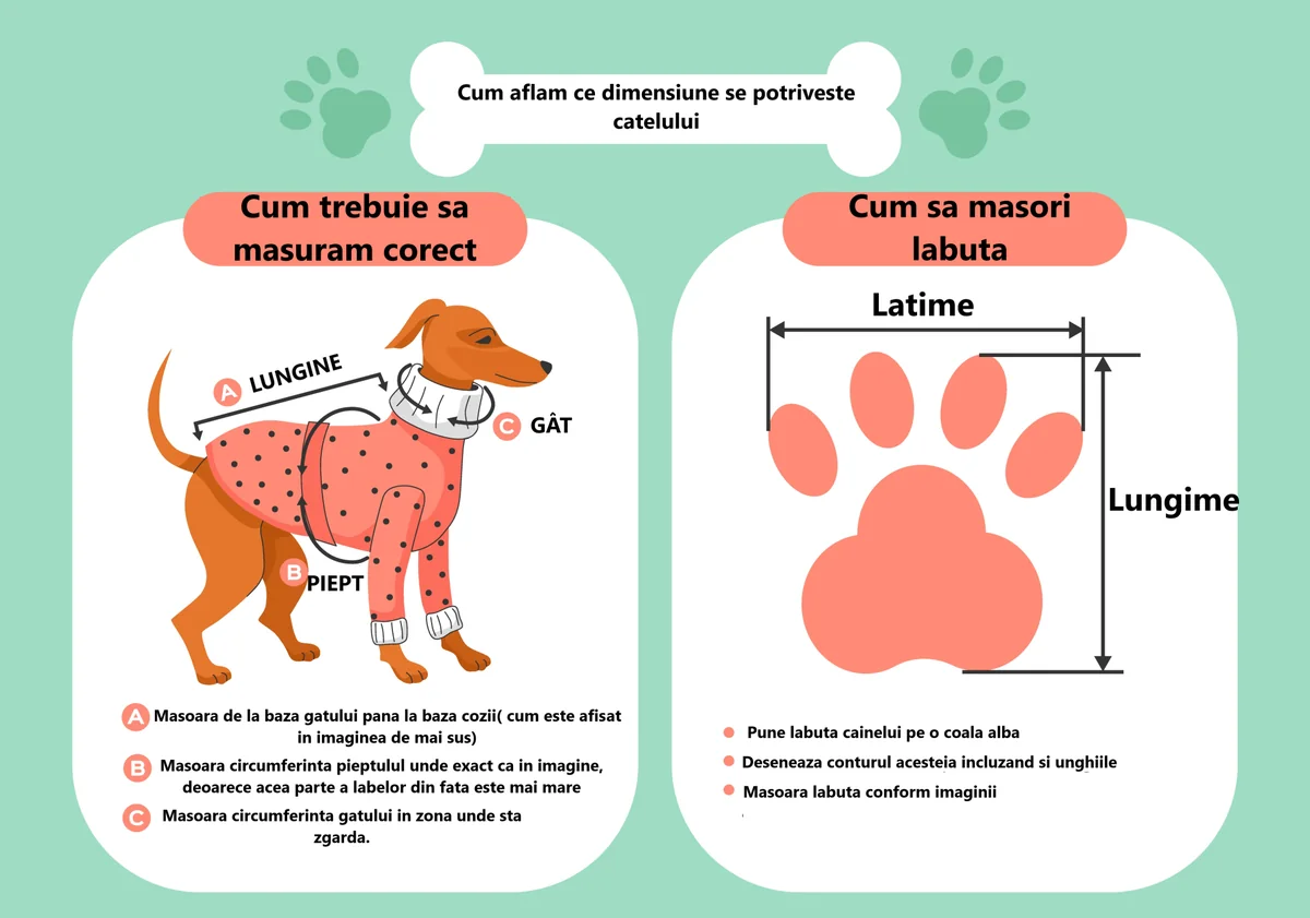 Pet Expert Haina Caine BO-S23006