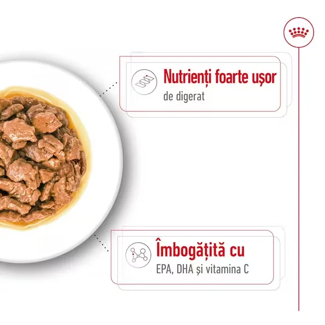 Royal Canin X-Small Adult Wet 85 G