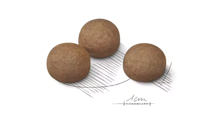 Royal Canin Maxi Digestive Care 12 kg