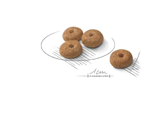 Royal Canin Mini Sterilised Adult