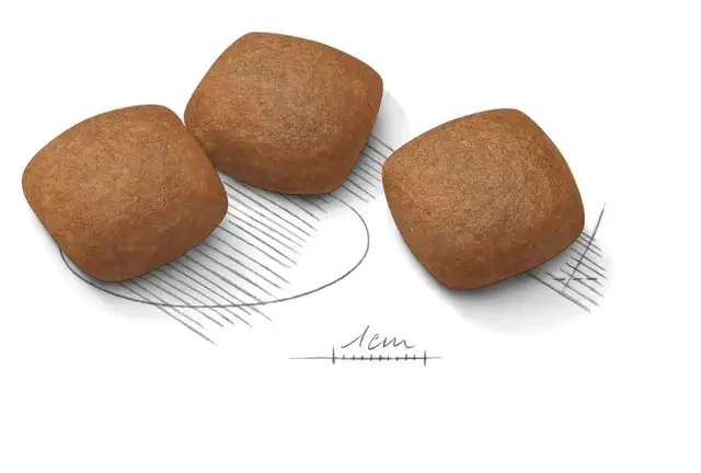 Royal Canin Maxi Joint Care