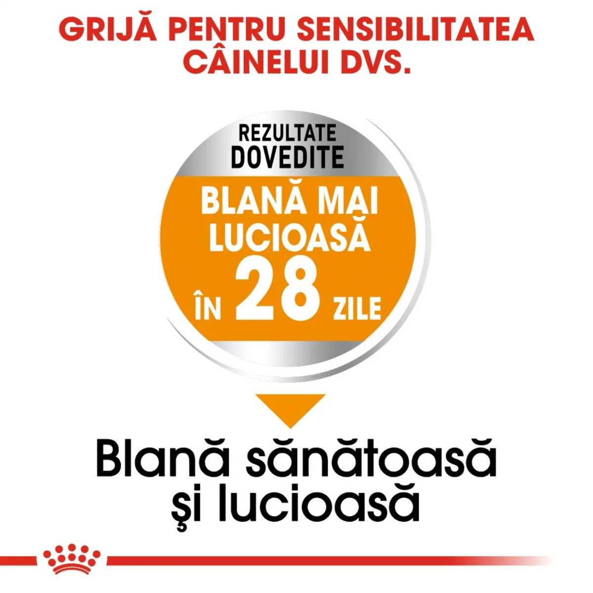 Royal Canin Mini Coat Care Adult 3 Kg