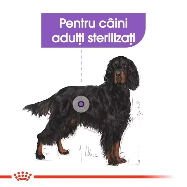 Royal Canin Maxi Sterilised Adult 12kg