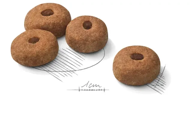 Royal Canin Maxi Sterilised Adult 12kg