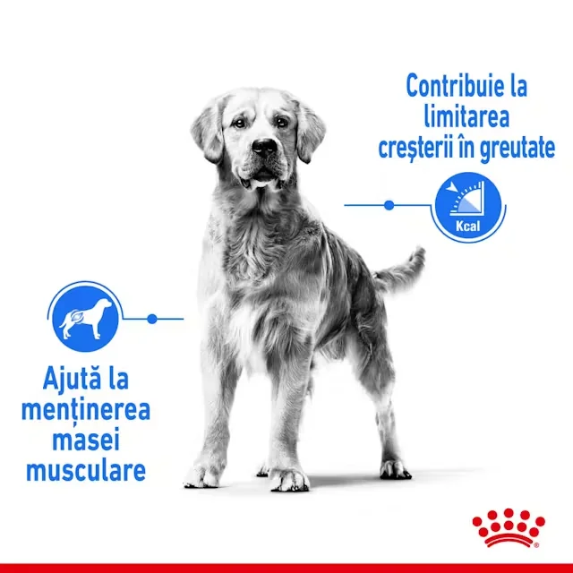 Royal Canin Maxi Light Weight Care 12 kg