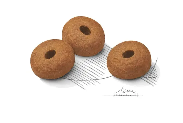 Royal Canin Maxi Light Weight Care 12 kg