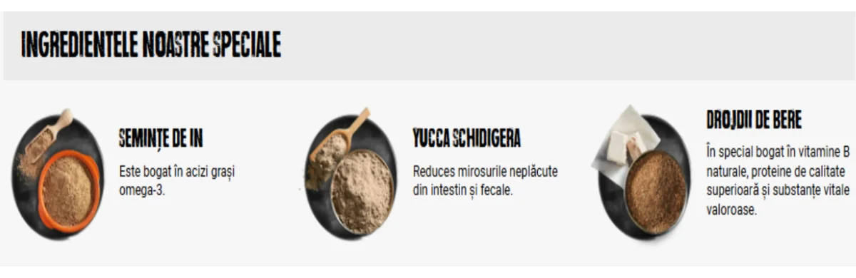 Belcando Baseline Explorer 12.5 KG