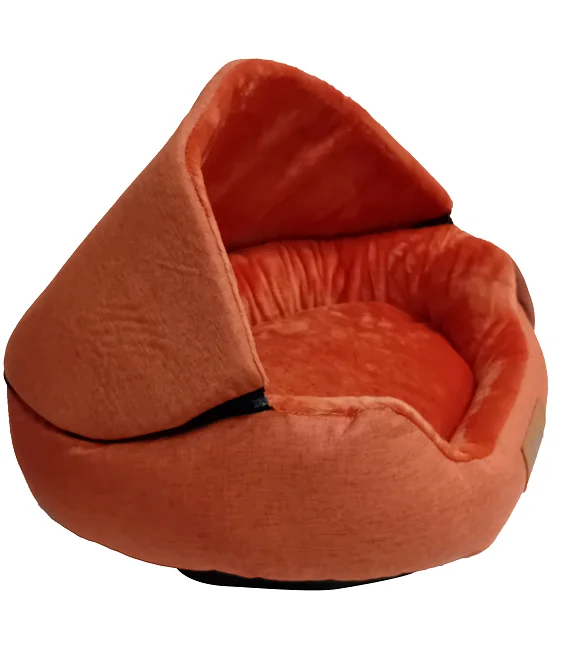 Aria Marchese Pat Andalo Caramiziu