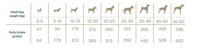 Quattro Dog All Breed Somon 12 KG