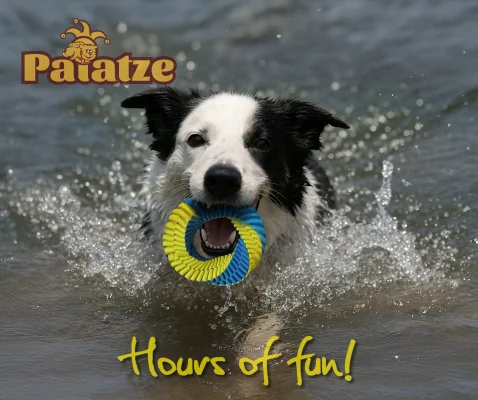Paiatze Dog Floating Floating Rope Dumbell 25 Cm
