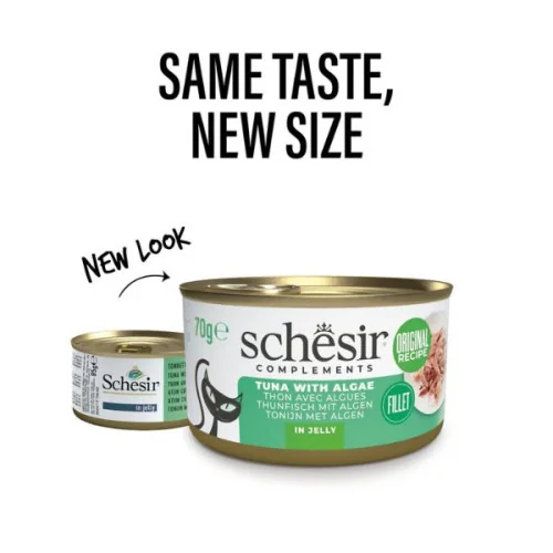 Schesir Cat Cons Ton/Alge in Jelly 70 G