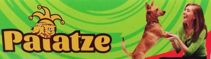 Paiatze Dog Chew Bone Natural Rubber BKC662