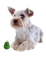 Paiatze Dog Cone Feeder Natural Rubber BKF190