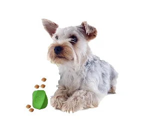 Paiatze Dog Ball Feeder Natural Rubber BKF664