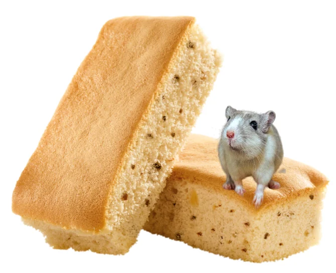 Versele Laga Biscuiti Cu Nuci - 6 Bucati 70 g