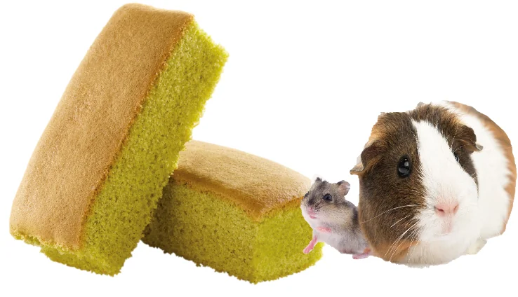 Versele Laga Biscuiti cu Legume - 6 buc.70 g