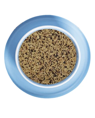 Versele Laga Canari 1 kg