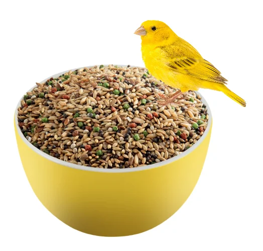 Versele Laga Canari Premium 800 g