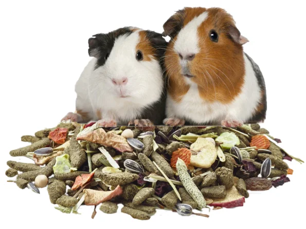 Versele Laga Cavia Nature 700 g