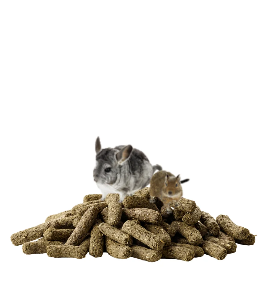 Versele Laga Chinchilla & Degu 500 g