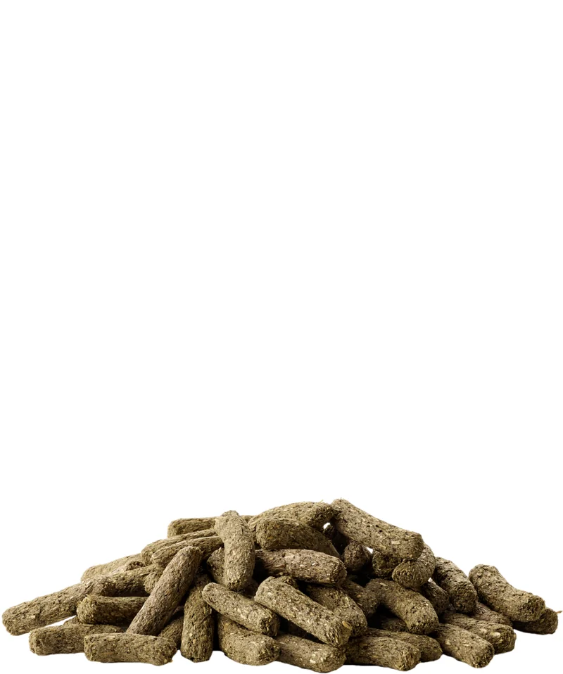 Versele Laga Chinchilla & Degu 500 g