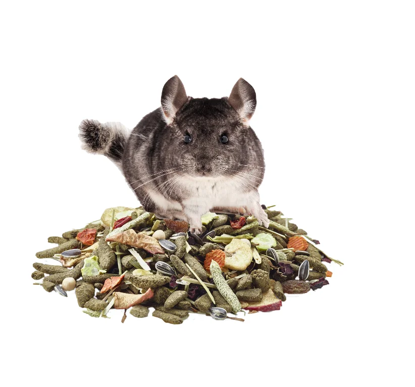 Versele Laga Chinchilla Nature 700 g