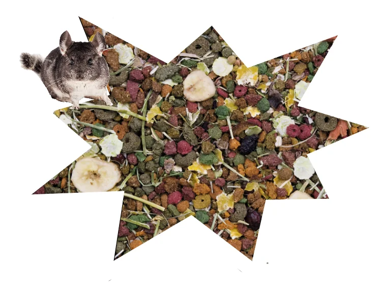 Versele Laga Chinchilla Nature Original 750 G