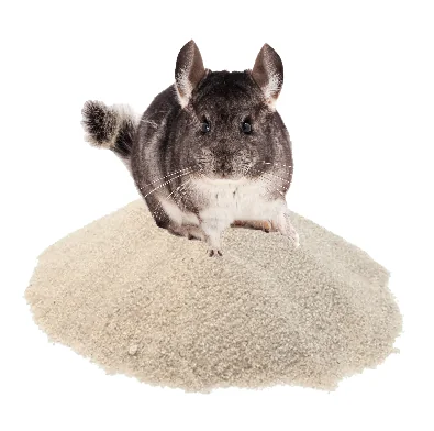 Versele Laga Chinchilla Bathing Sand 1,3 Kg