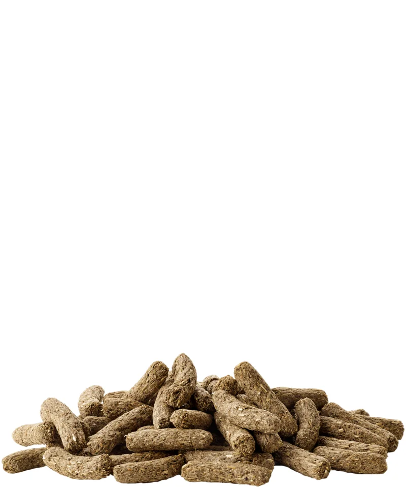 Versele Laga Cuni Adult