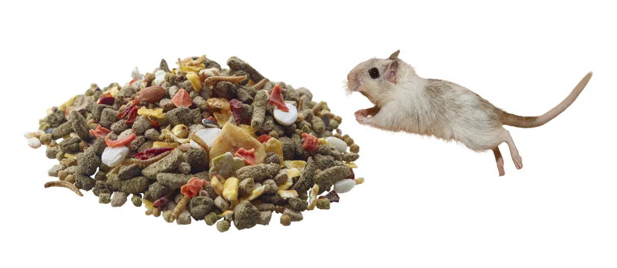 Versele Laga Gerbil 700 g