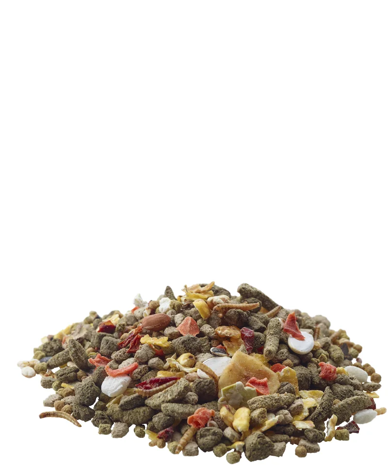 Versele Laga Gerbil 700 g