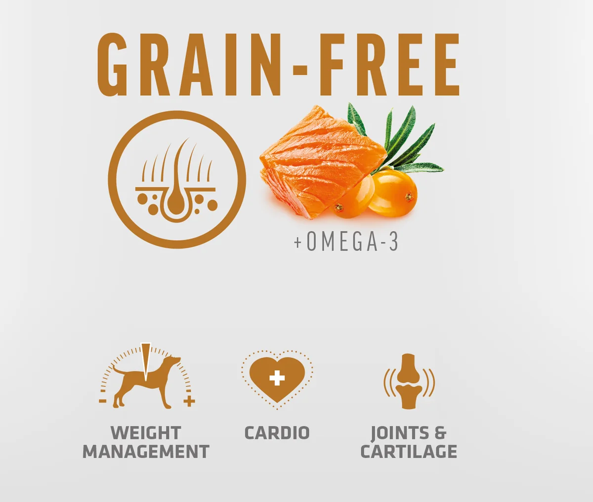 Brit Care Dog Grain-Free Senior & Light Somon