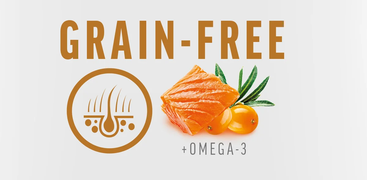 Brit Care Dog Grain-Free Senior & Light Somon